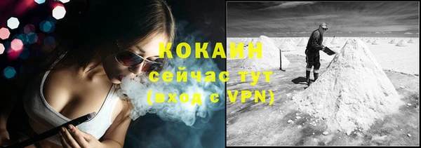шишки Балабаново