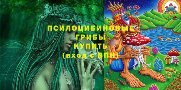 ГАЛЛЮЦИНОГЕННЫЕ ГРИБЫ Балахна