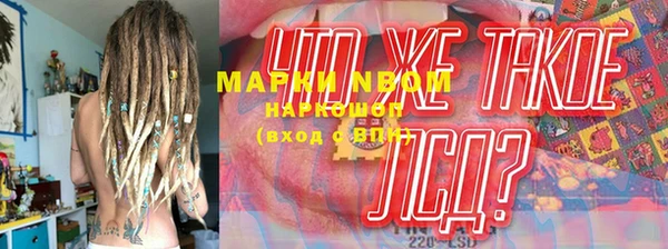 ГАЛЛЮЦИНОГЕННЫЕ ГРИБЫ Балахна