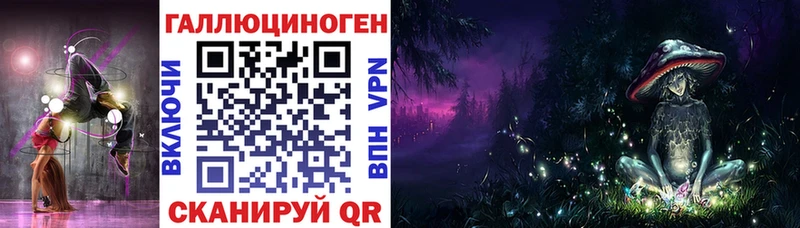 дарнет шоп  Светогорск  Галлюциногенные грибы прущие грибы 